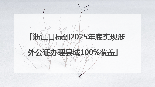 浙江目标到2025年底实现涉外公证办理县域100%覆盖