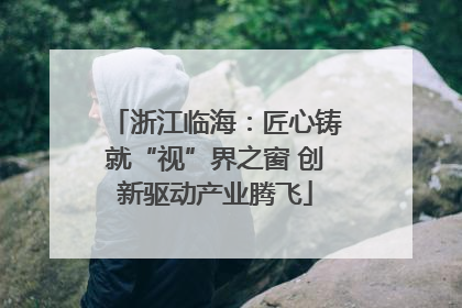 浙江临海：匠心铸就“视”界之窗 创新驱动产业腾飞