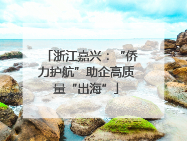 浙江嘉兴：“侨力护航”助企高质量“出海”