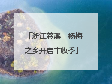 浙江慈溪：杨梅之乡开启丰收季