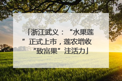 浙江武义：“水果莲”正式上市，莲农增收“致富果”注活力