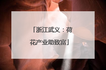 浙江武义：荷花产业助致富
