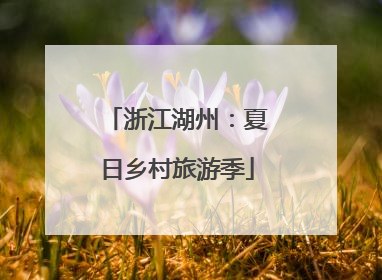 浙江湖州：夏日乡村旅游季