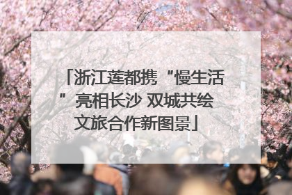 浙江莲都携“慢生活”亮相长沙 双城共绘文旅合作新图景