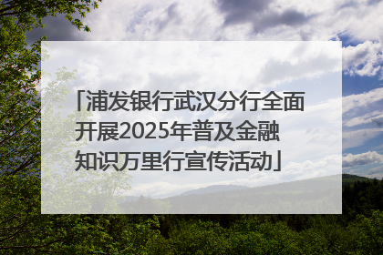 浦发银行武汉分行全面开展2025年普及金融知识万里行宣传活动