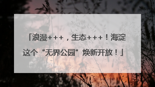 浪漫+++，生态+++！海淀这个“无界公园”焕新开放！