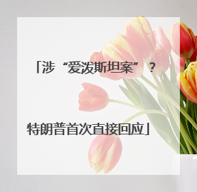 涉“爱泼斯坦案”？特朗普首次直接回应