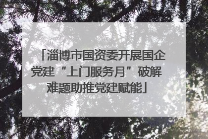 淄博市国资委开展国企党建“上门服务月”破解难题助推党建赋能