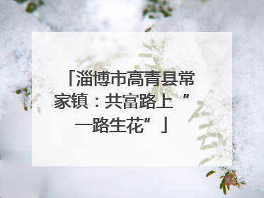 淄博市高青县常家镇：共富路上“一路生花”