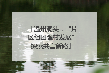 温州洞头：“片区组团强村发展”探索共富新路