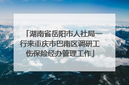 湖南省岳阳市人社局一行来重庆市巴南区调研工伤保险经办管理工作