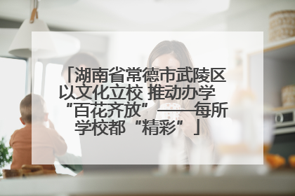 湖南省常德市武陵区以文化立校 推动办学“百花齐放”——每所学校都“精彩”