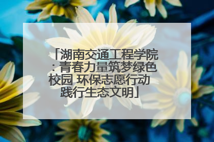 湖南交通工程学院：青春力量筑梦绿色校园 环保志愿行动践行生态文明