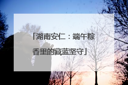 湖南安仁：端午粽香里的藏蓝坚守