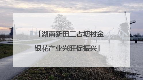 湖南新田三占塘村金银花产业兴旺促振兴