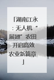 湖南江永：无人机“展翅”农田 开启高效农业新篇章