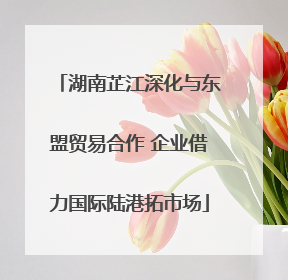湖南芷江深化与东盟贸易合作 企业借力国际陆港拓市场