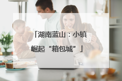 湖南蓝山：小镇崛起“箱包城”