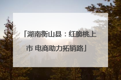 湖南衡山县：红脆桃上市 电商助力拓销路