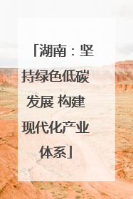 湖南：坚持绿色低碳发展 构建现代化产业体系