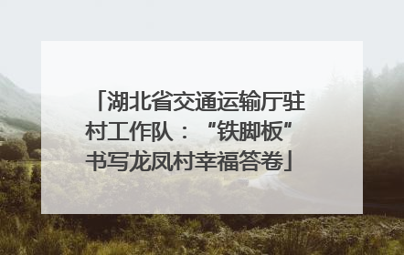 湖北省交通运输厅驻村工作队：“铁脚板”书写龙凤村幸福答卷