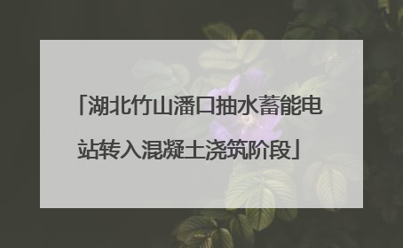 湖北竹山潘口抽水蓄能电站转入混凝土浇筑阶段