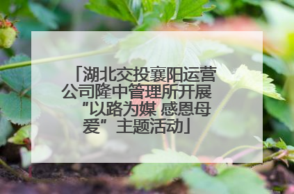 湖北交投襄阳运营公司隆中管理所开展“以路为媒 感恩母爱”主题活动