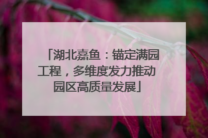 湖北嘉鱼：锚定满园工程，多维度发力推动园区高质量发展