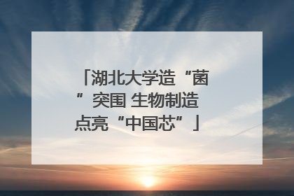 湖北大学造“菌”突围 生物制造点亮“中国芯”
