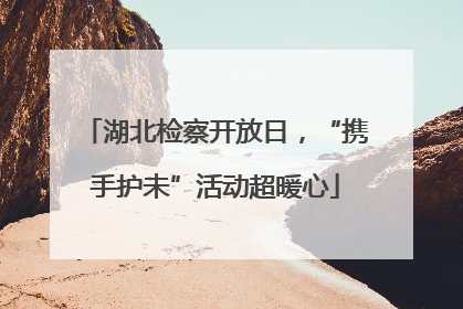 湖北检察开放日，“携手护未”活动超暖心