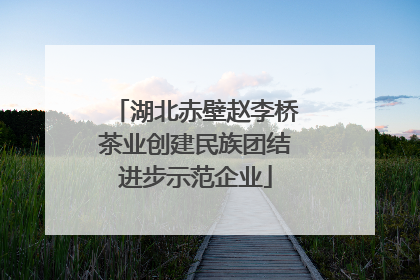 湖北赤壁赵李桥茶业创建民族团结进步示范企业