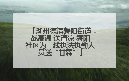 湖州德清舞阳街道：战高温 送清凉 舞阳社区为一线执法执勤人员送“甘霖”
