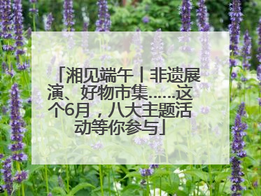 湘见端午丨非遗展演、好物市集……这个6月，八大主题活动等你参与