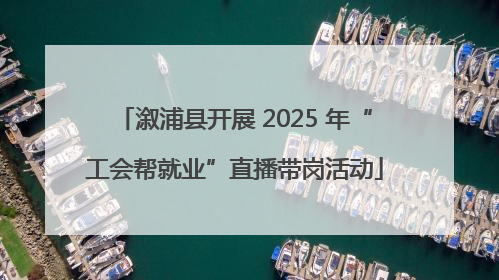 溆浦县开展 2025 年“工会帮就业”直播带岗活动