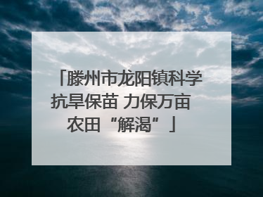 滕州市龙阳镇科学抗旱保苗 力保万亩农田“解渴”