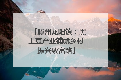滕州龙阳镇：黑土豆产业铺就乡村振兴致富路