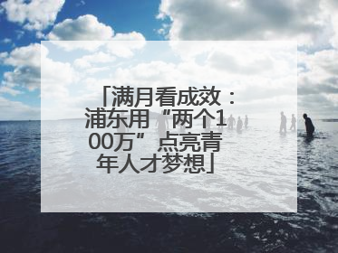 满月看成效：浦东用“两个100万”点亮青年人才梦想