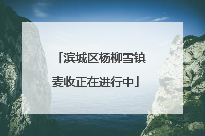 滨城区杨柳雪镇麦收正在进行中