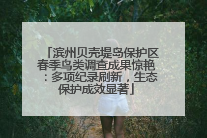 滨州贝壳堤岛保护区春季鸟类调查成果惊艳：多项纪录刷新，生态保护成效显著