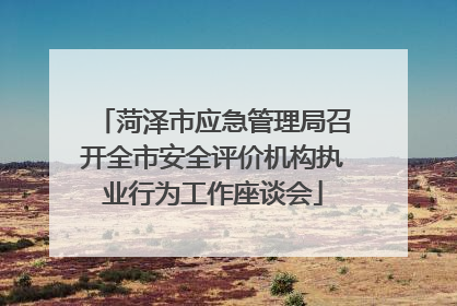 菏泽市应急管理局召开全市安全评价机构执业行为工作座谈会