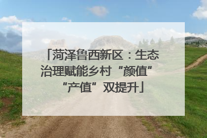 菏泽鲁西新区：生态治理赋能乡村“颜值”“产值”双提升