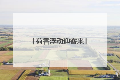 荷香浮动迎客来