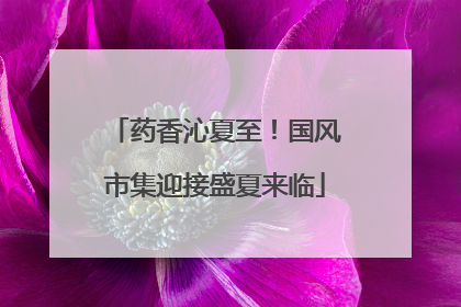 药香沁夏至！国风市集迎接盛夏来临