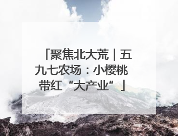 聚焦北大荒｜五九七农场：小樱桃带红“大产业”