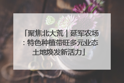 聚焦北大荒｜延军农场：特色种植带旺多元业态 土地焕发新活力