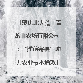聚焦北大荒｜青龙山农场有限公司：“插前寄秧”助力农业节本增效