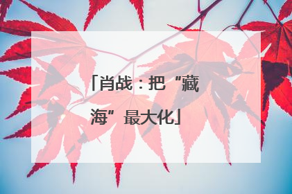 肖战：把“藏海”最大化