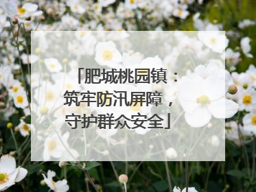 肥城桃园镇：筑牢防汛屏障，守护群众安全