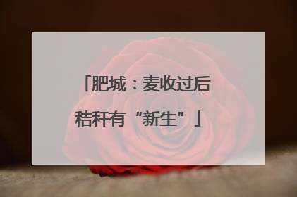肥城：麦收过后秸秆有“新生”