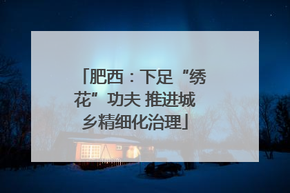 肥西：下足“绣花”功夫 推进城乡精细化治理